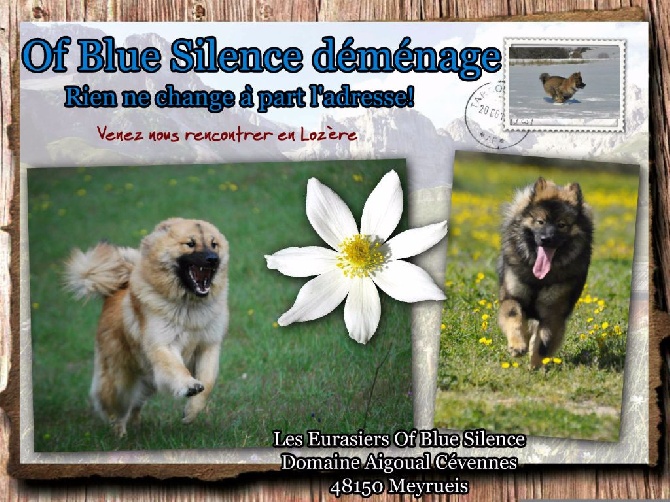 Of Blue Silence - On déménage! 