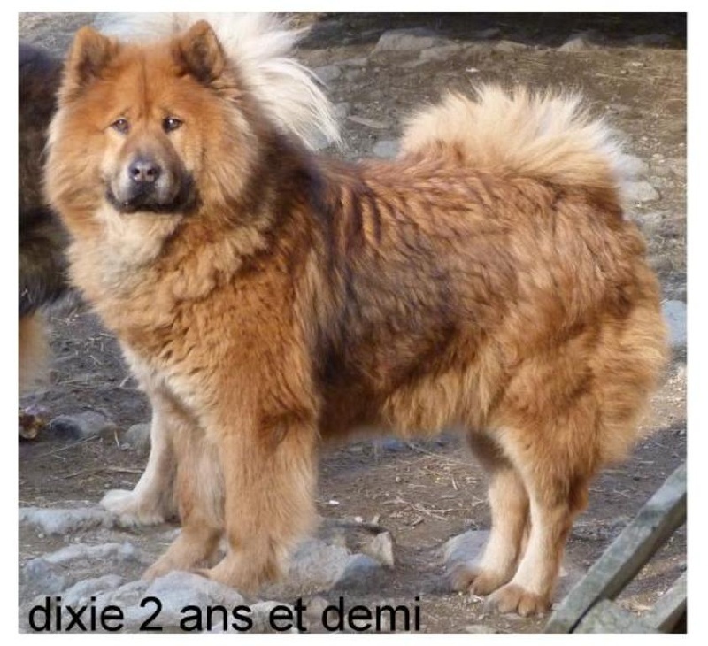 Eshka, hier, aujourd'hui, sa famille